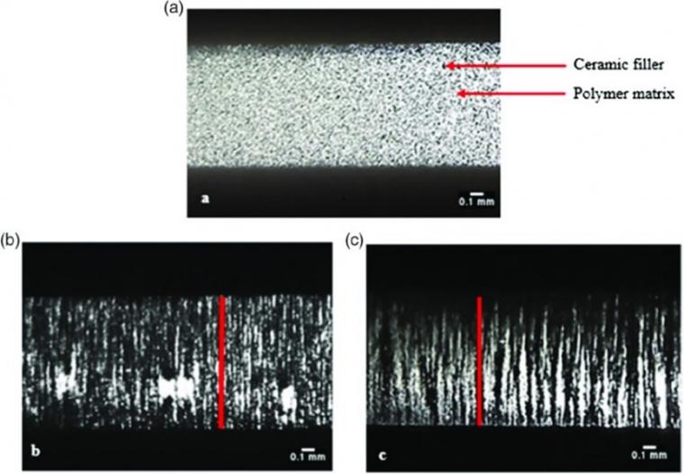 Figure 2: In situ microscopic observation of (a) 0–3 PZT/PDMS and 1–3...