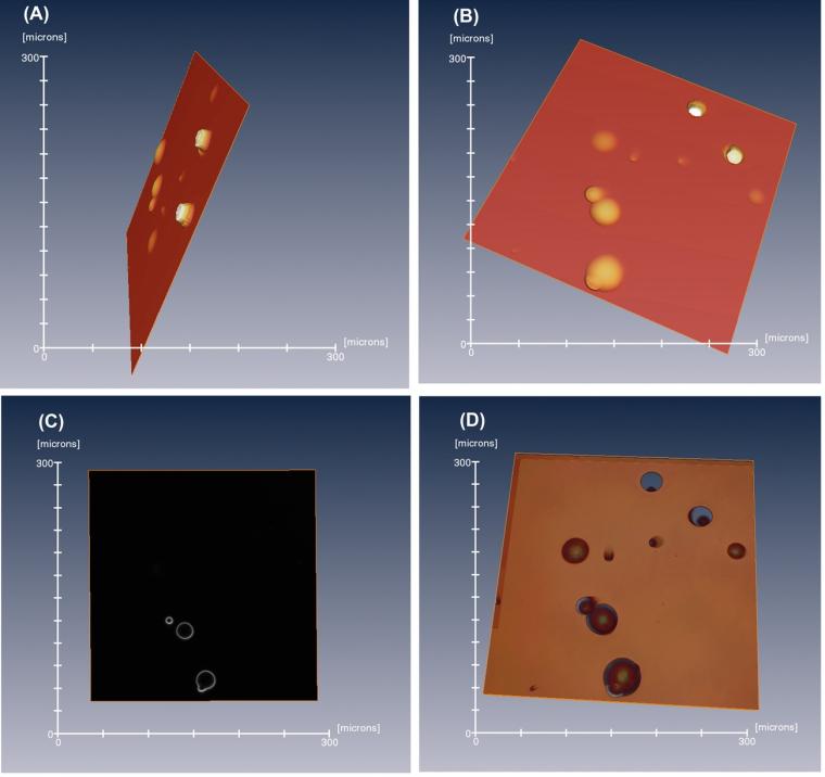 Figure 1: Example showing 3D surface imaging (50X objective) from height data...