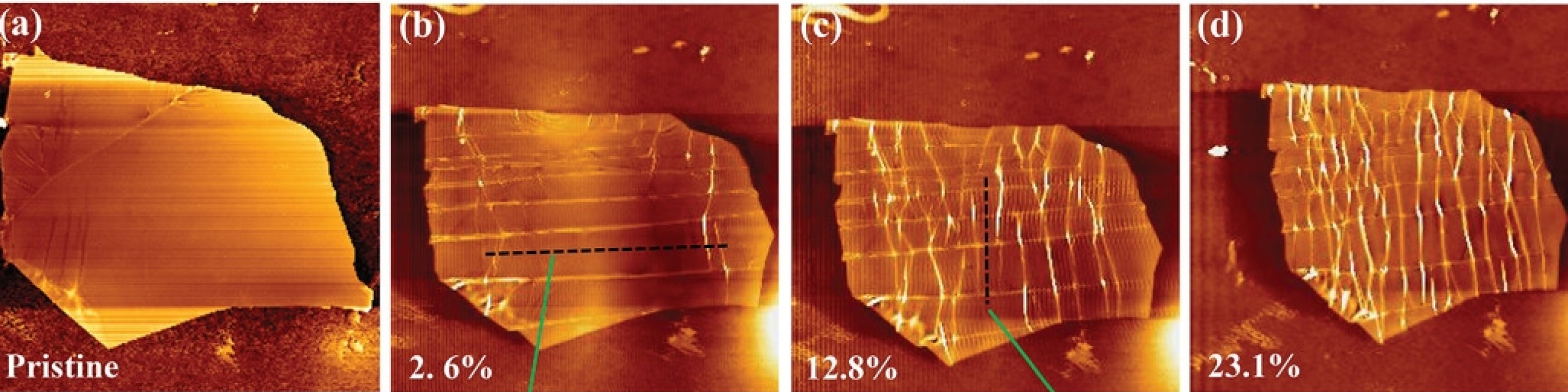 The evolution of graphene wrinkles during uniaxial compression is shown via AFM...