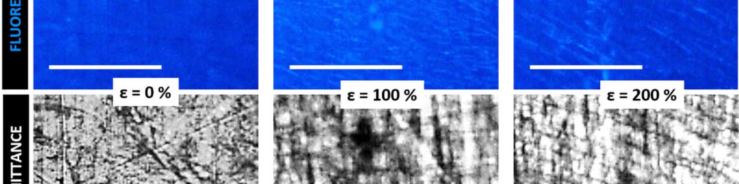 Wide range microscope images of PVAc-TPE at 0%, 100%, and 200% strain (ε)...