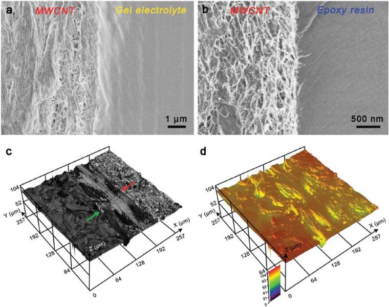 Figure 2: SEM micrographs of a) the interface between the MWCNT electrode and...