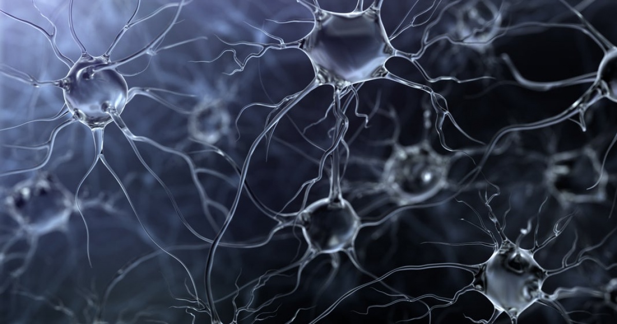 The Future of Neuroscience: Flexible and Wireless Implantable Neural ...