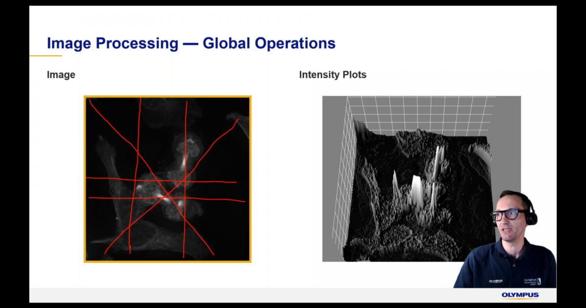 Digital Image Processing Part 2: Advanced Image Processing Filter ...