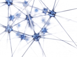 Corrosion Damage of 316L Steel Surface Examined Using Statistical Methods and Artificial Neural Network