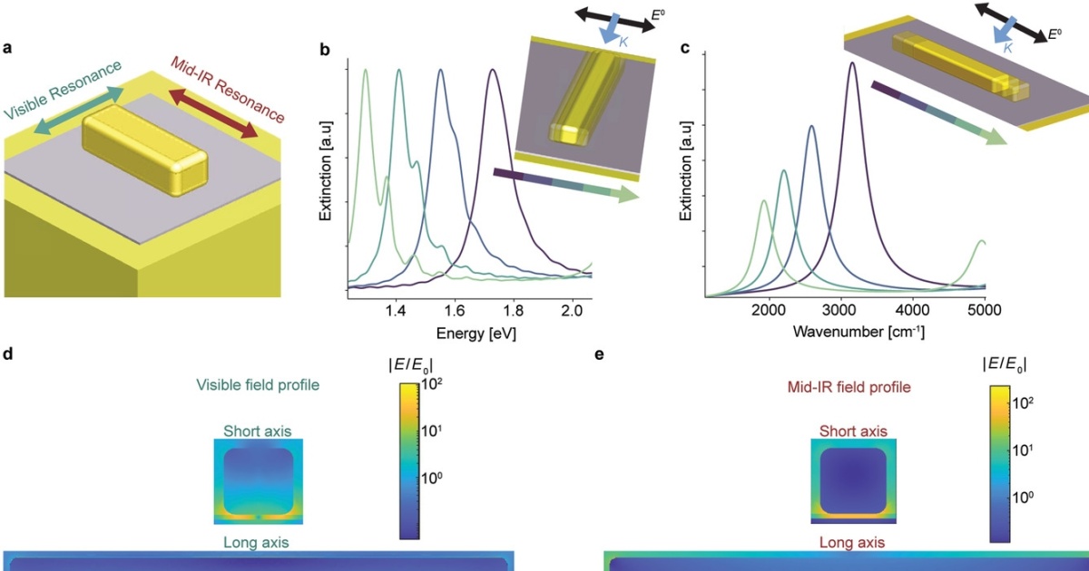Complementary Surface Enhanced Raman Scattering Sers And Ir Complementary Surface Enhanced Raman Scattering Sers And Ir