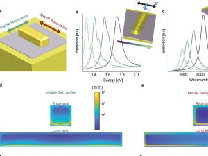 Complementary Surface-Enhanced Raman Scattering (SERS) and IR Absorption Spectroscopy (SEIRAS) with Nanorods-on-a-Mirror