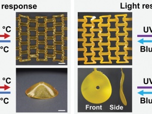 4D Printing of Supramolecular Liquid Crystal Elastomer Actuators Fueled by Light