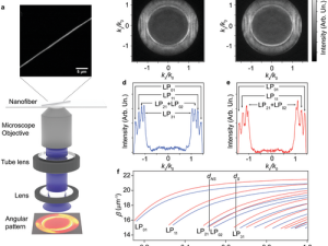 Optical Gain Switching by Thermo-Responsive Light-Emitting Nanofibers through Moisture Sorption Swelling