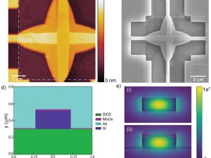 Complex Refractive Index Extraction for Ultrathin Molybdenum Oxides Using Micro-Photonic Integrated Circuit Chips