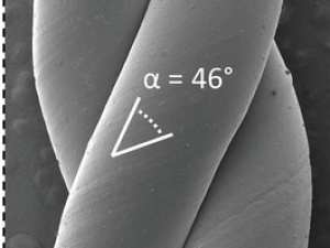 Melt-Extruded Thermoplastic Liquid Crystal Elastomer Rotating Fiber Actuators