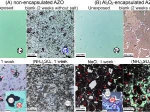 Importance of atmospheric aerosol pollutants on the degradation of Al2O3 encapsulated Al-doped zinc oxide window layers in solar cells