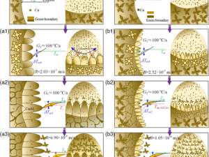 Microstructural Evolution and Mechanical Properties of 2219 Aluminum Alloy Deposited by Wire and Arc Additive Manufacturing