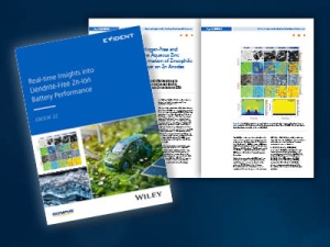 eBook 22: Real-time Insights into Dendrite-Free Zn-Ion Battery Performance