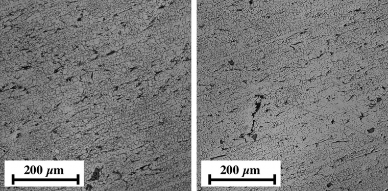 Figure 3: Surface of the polished reference after 200 sliding cycles at two...