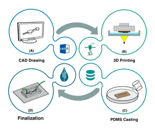 Rapid Softlithography Using 3D‐Printed Molds