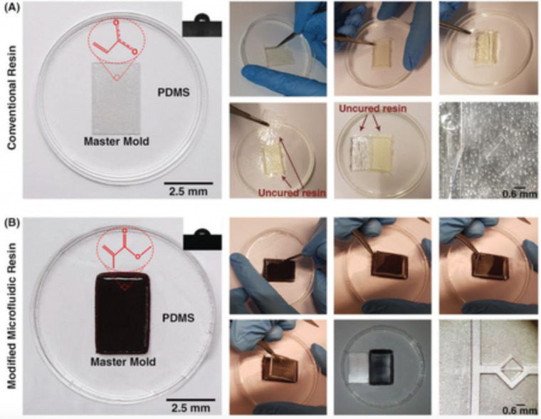 Rapid Softlithography Using 3D‐Printed Molds
