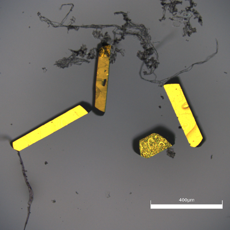 Fig. 2A: single crystals exhibit a golden metallic luster.