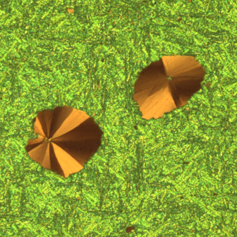 Fig. 2B: a spincoated layer of neat squaraine, with spherulite aggregates...