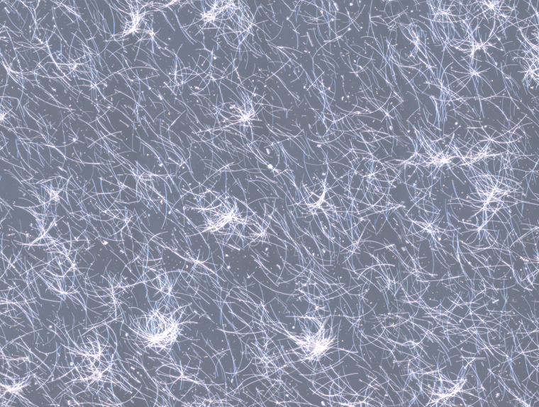 Fig. 5A: facilitating analysis of nanowire distribution on a larger scale in...