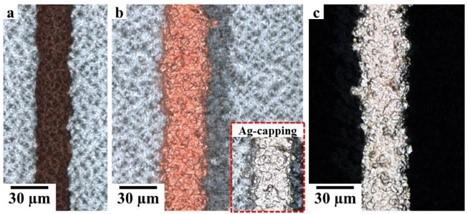 Fig. 4: Microscopic pictures of a finger on the ITO from a SHJ solar cells...