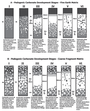 Figure 1: Pedogenic carbonate development stages for (A) fine earth matrix and...