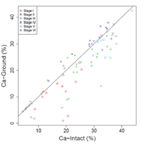 Figure 3: Scatterplot exhibiting correlation between Ca‐intact and...