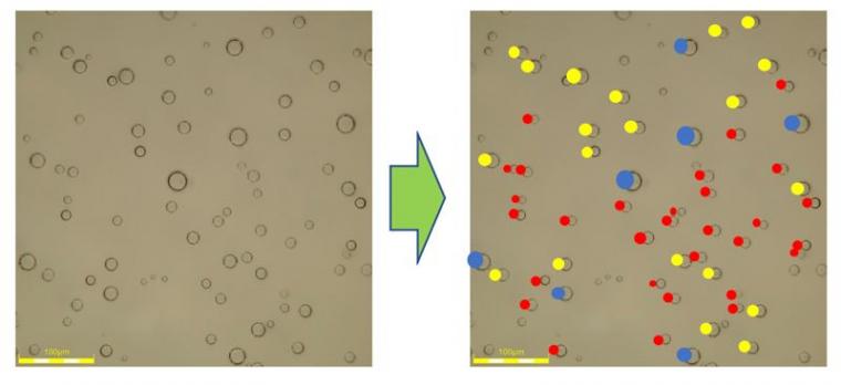 Automatic detection and classification of bubbles.