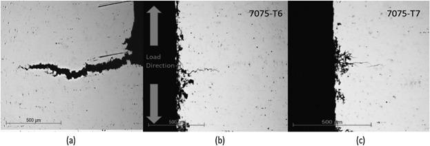 Figure 1: Cross-sections of the constant load specimens observed under optical...