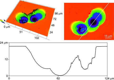 Figure 4: An example of multiple coalescing tracks obtained with a 100X...