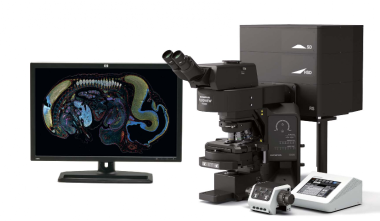 FLUOVIEW FV3000 Laser Scanning Microscope
