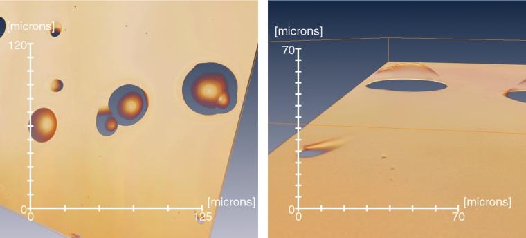 Figure 2: Example showing zoomed visualization of Figure 1 stack imaging. The...