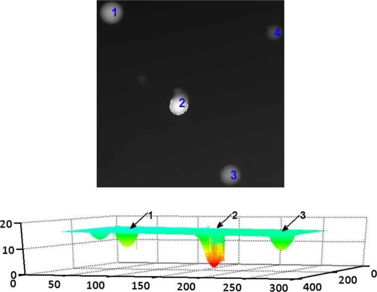 Figure 3: An example of a depiction of track depth data using a greyscale image...