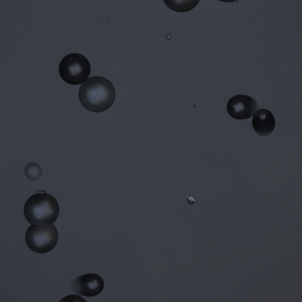 Figure 1: 2D image of an SSNTD using a 50X objective lens. Scale 257 by 257...