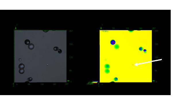 Figure 2: Equivalent 3D images showing detection of an artifact (orange,...