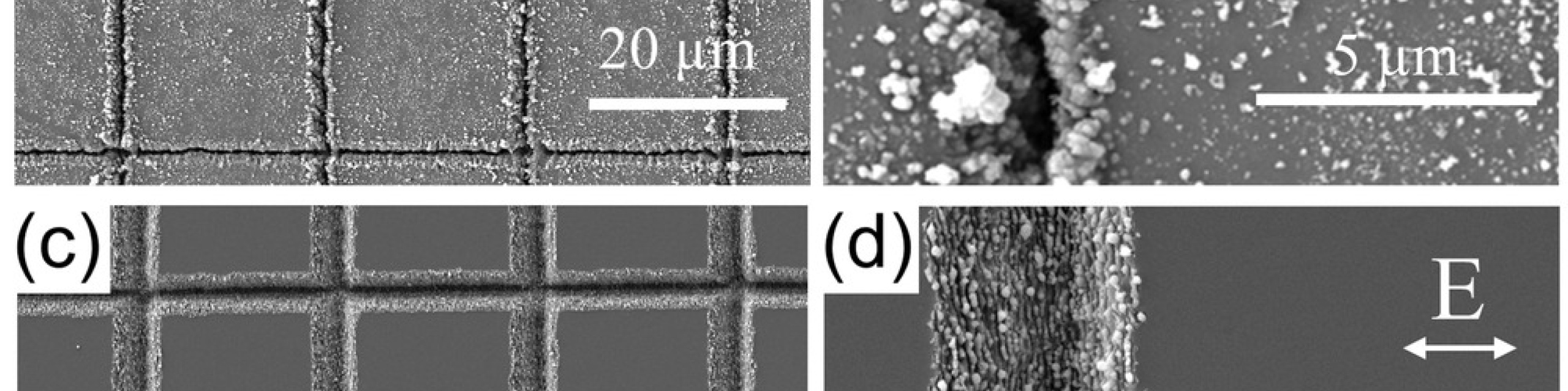 SEM micrographs show micro-grids on silicon with and without frost layer. Frost...