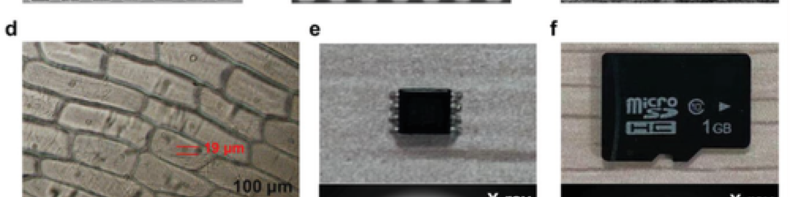 pplication of this X-ray microscopic imaging system