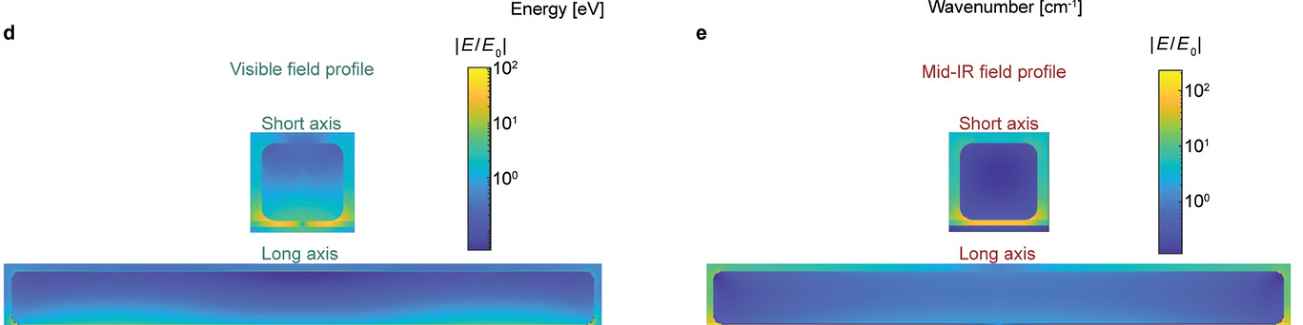 Complementary Surface-Enhanced Raman Scattering (SERS) and IR Absorption...