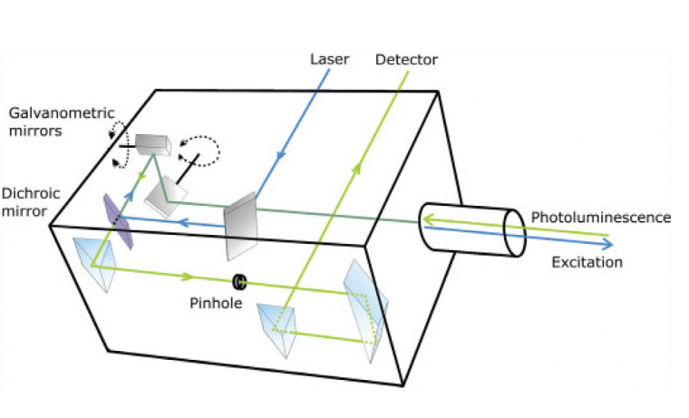Figure 1: Schematic of the laser scanning head of the LSCM. The incoming laser...