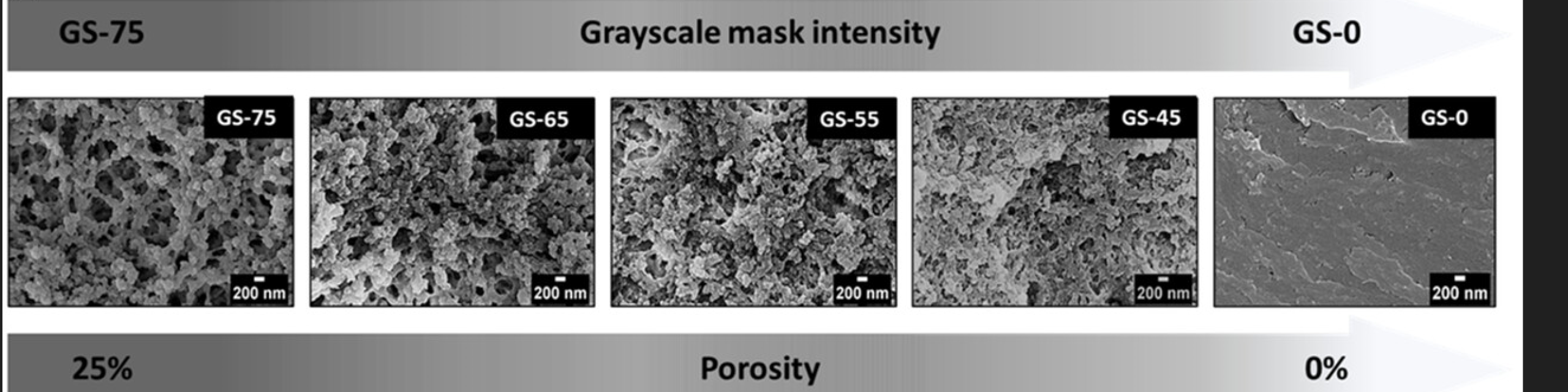 3D Printing Functionally Graded Porous Materials for Simultaneous Fabrication...