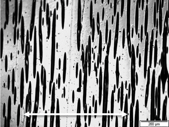 Figure 1: Optical micrograph of the Au–Ta film on PI, unloaded after strained...