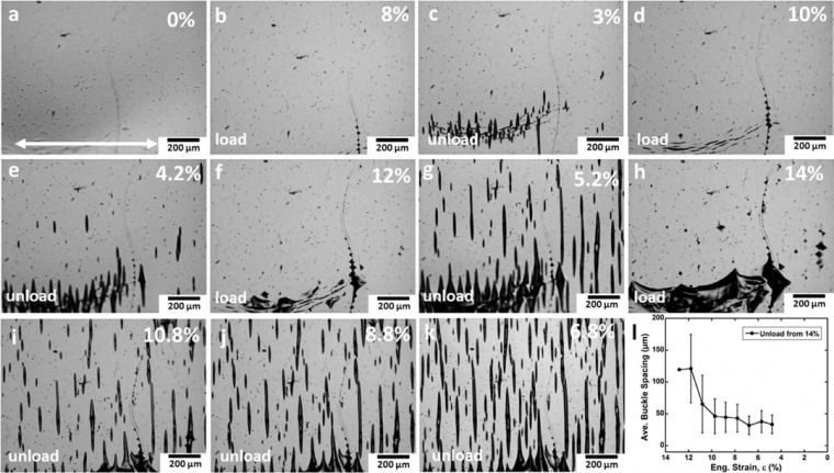 Figure 2:In situ optical incremental load-unload experiment. The arrow in (a)...