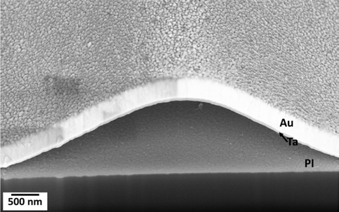 Figure 5: FIB cross-section of a buckle indicating that the Ta–PI interface...